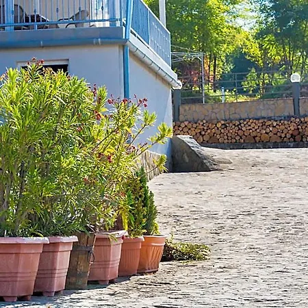 Bed & Breakfast Fogado A Ket Toelgyfahoz Sümeg